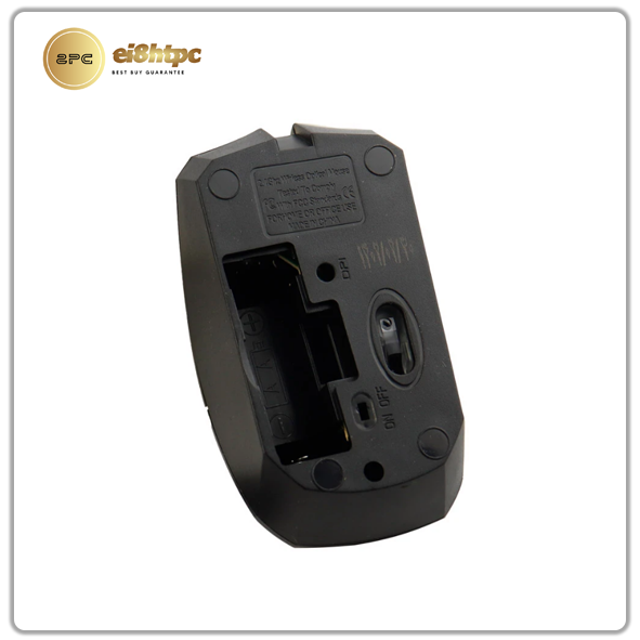 mouse model MR-170